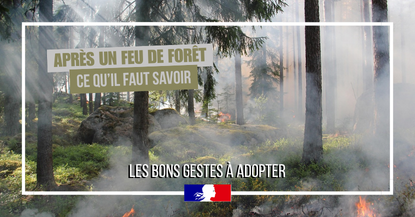 Image d'une forêt en flamme, avec inscrit : - Après un feu de forêt, ce qu'il faut savoir. Les bon geste a adopter